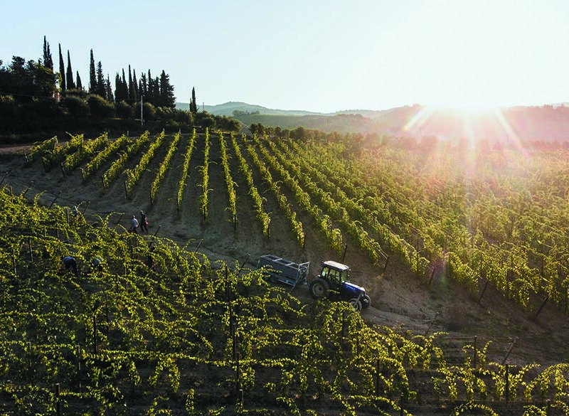 Villa Rosa, per Cecchi è un ritorno alle origini