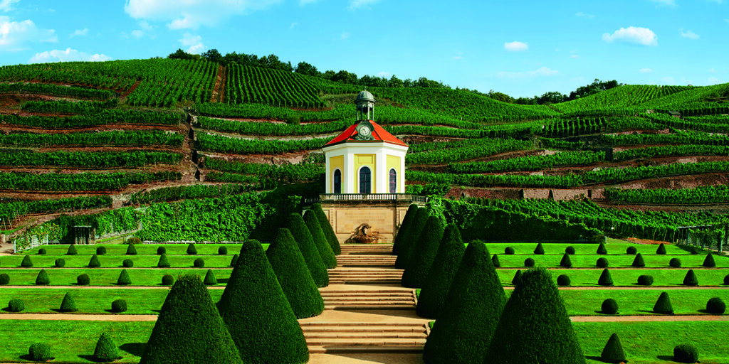 Scheurebe, l’altra faccia (figlia) del Riesling