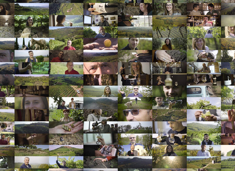 I video di Soave Terroir che spiegano le Unità Geografiche Aggiuntive