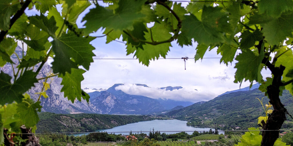 Gli interpreti del vino naturale in Trentino