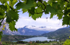 Gli interpreti del vino naturale in Trentino
