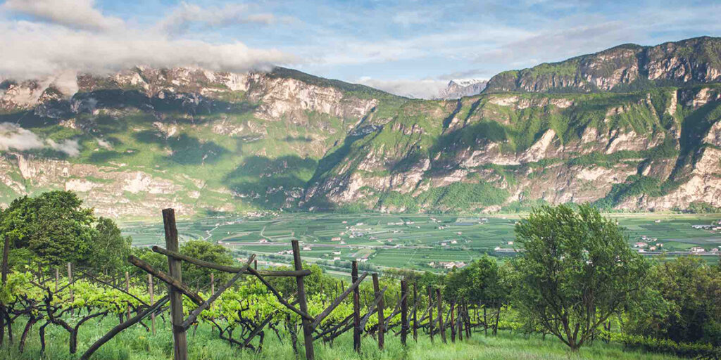 Il Trentino è Wine Region of the Year 2020 secondo Wine Enthusiast