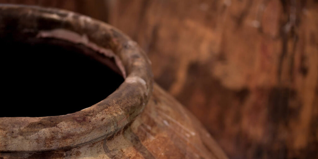 Il vino nell’Età del Bronzo? Le ultime scoperte dal Nord-Est Italia