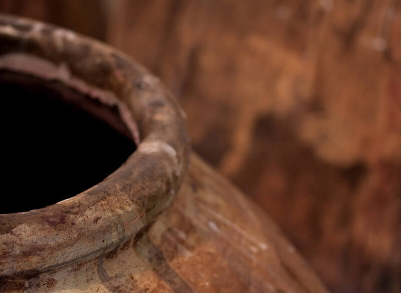 Il vino nell’Età del Bronzo? Le ultime scoperte dal Nord-Est Italia
