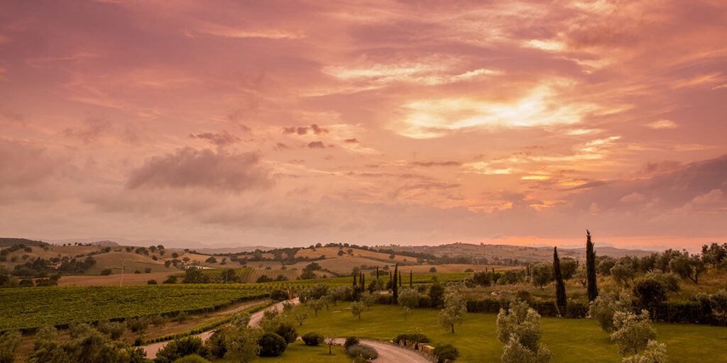 Tenuta Ammiraglia, Aurea Gran Rosé è l’oro rosa della Maremma