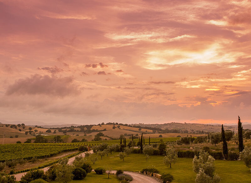 Tenuta Ammiraglia, Aurea Gran Rosé è l’oro rosa della Maremma