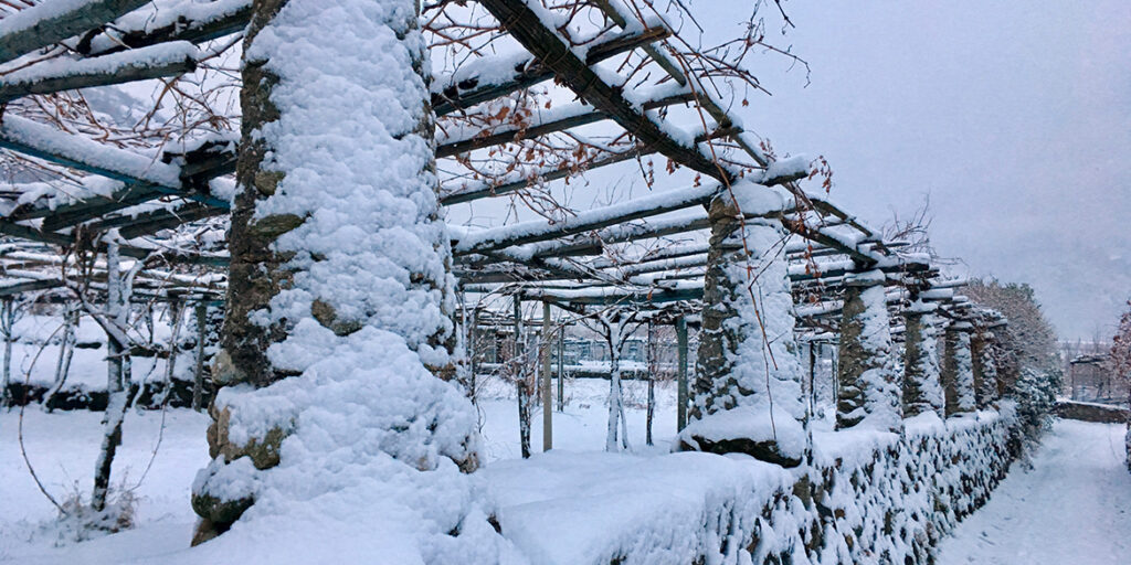 Gli interpreti del vino naturale nell’Alto Piemonte