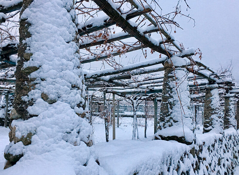 Gli interpreti del vino naturale nell’Alto Piemonte