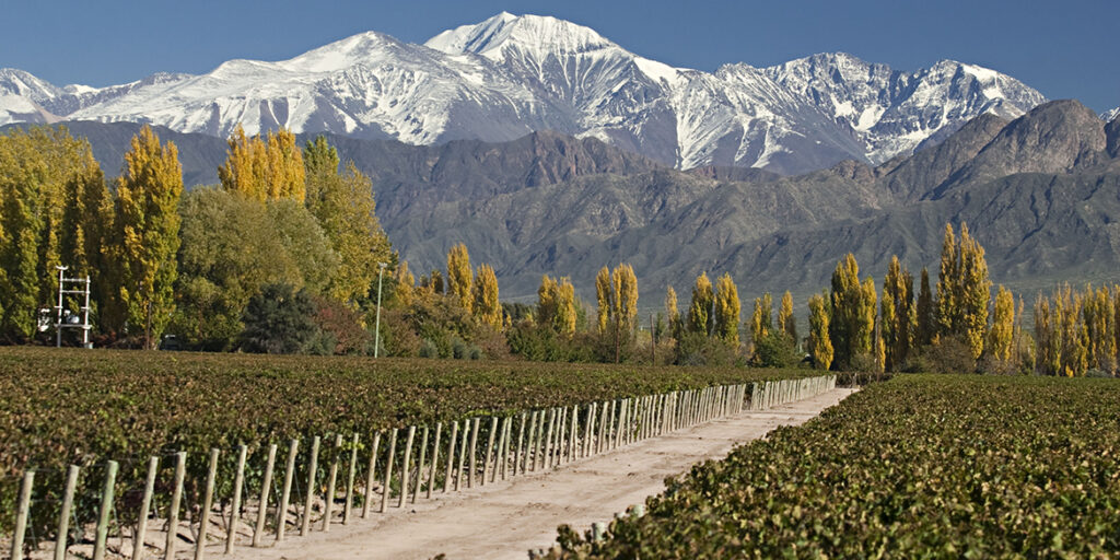 Vini ad alta quota nel mondo. Chi li produce e chi li beve