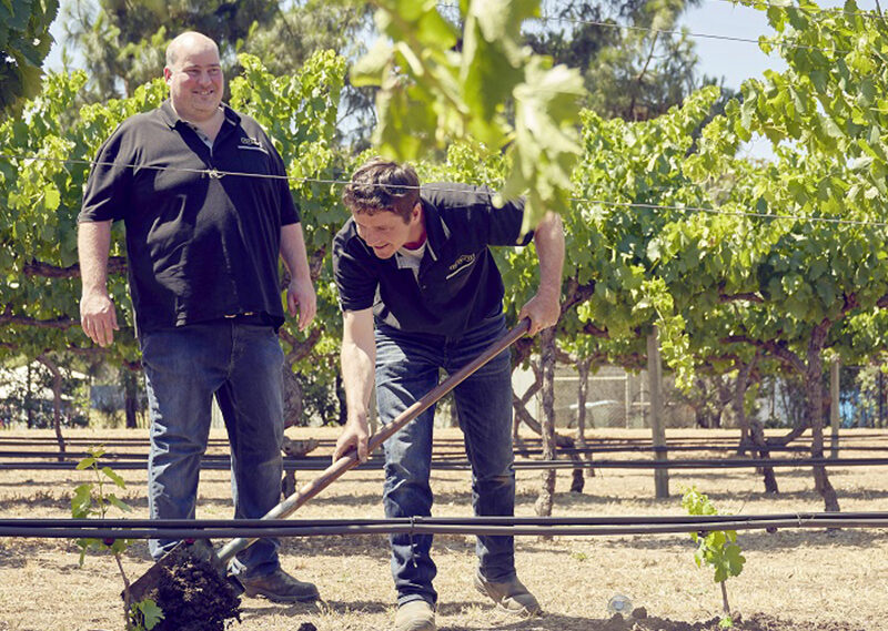 Storie italiane: la parabola di un piemontese ad Adelaide e la docu-serie di Stanley Tucci