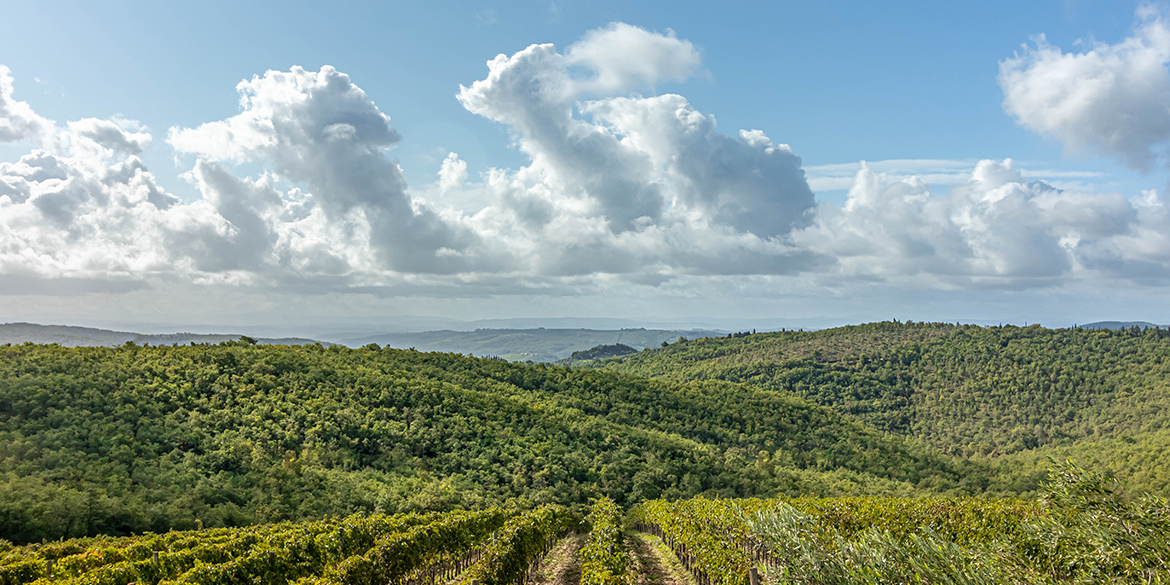 Bertinga: chiantigiano per dna, Supertuscan per vocazione