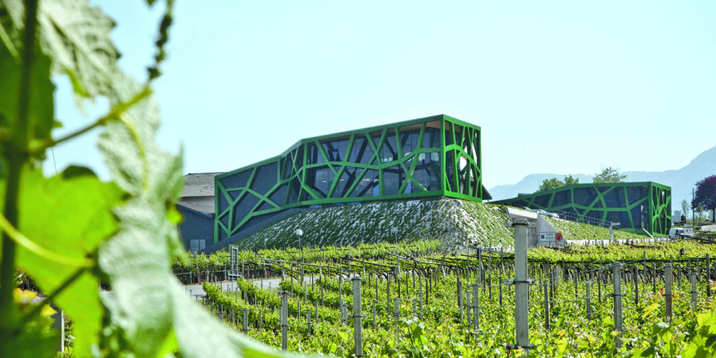 Architetture del vino: Cantina Tramin