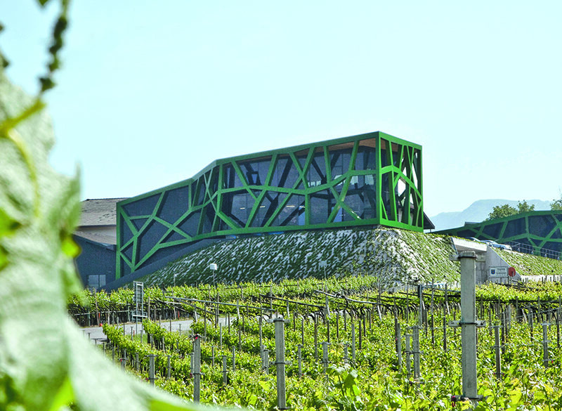 Architetture del vino: Cantina Tramin