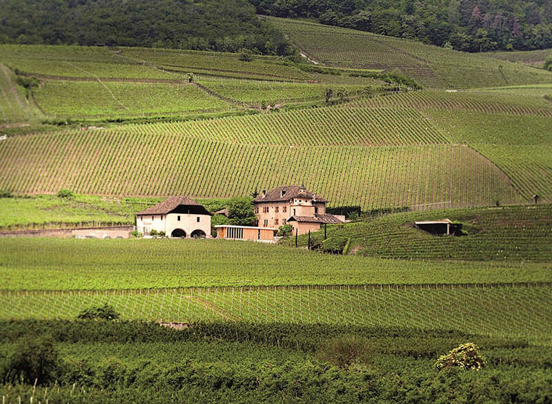 Gli interpreti del vino naturale in Alto Adige