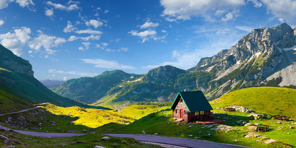 Le origini della vite si studiano in Montenegro