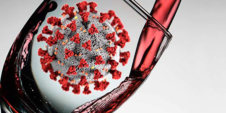 Un anno di pandemia, il bilancio del mondo del vino