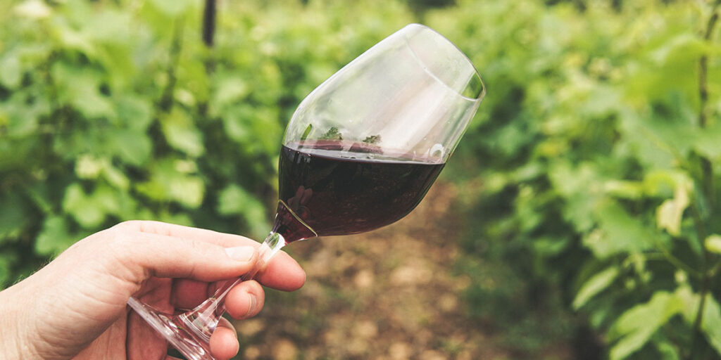 Valpolicella Annual Conference: per il Consorzio è tempo di bilancio e rilancio