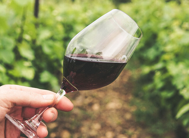 Valpolicella Annual Conference: per il Consorzio è tempo di bilancio e rilancio