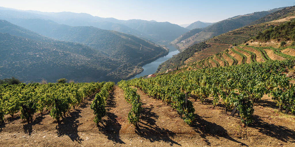 Wine trends: il Portogallo sorprenderà gli enoturisti, a cominciare dal Douro