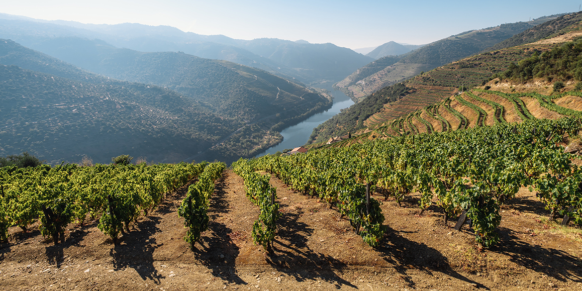 Wine trends: il Portogallo sorprenderà gli enoturisti, a cominciare dal Douro