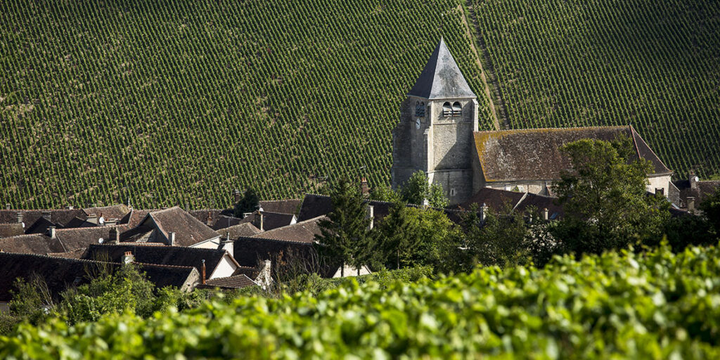 I numeri (vincenti) dello Chablis e i premiati del 35° Concours