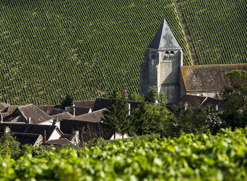I numeri (vincenti) dello Chablis e i premiati del 35° Concours