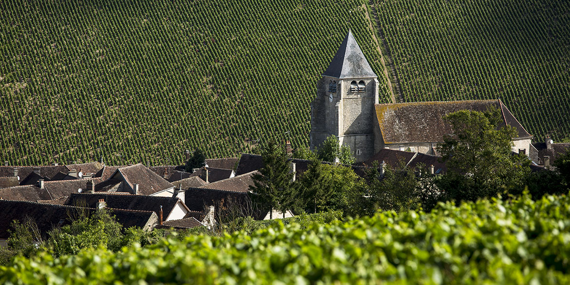 I numeri (vincenti) dello Chablis e i premiati del 35° Concours