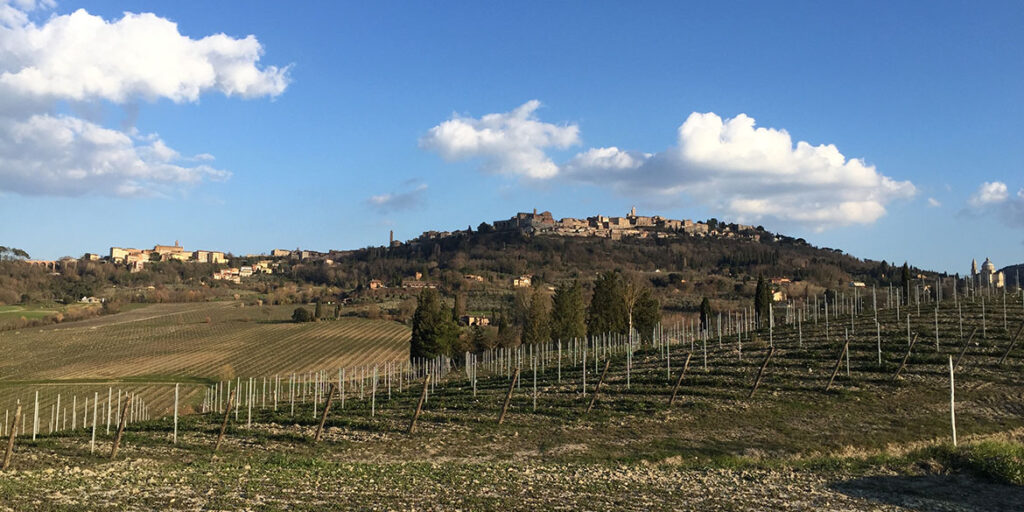 Pieve, la nuova tipologia del Nobile di Montepulciano