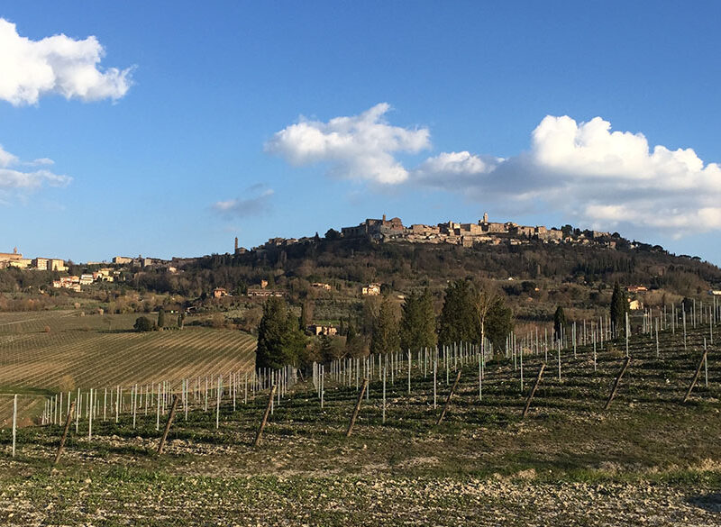 Pieve, la nuova tipologia del Nobile di Montepulciano