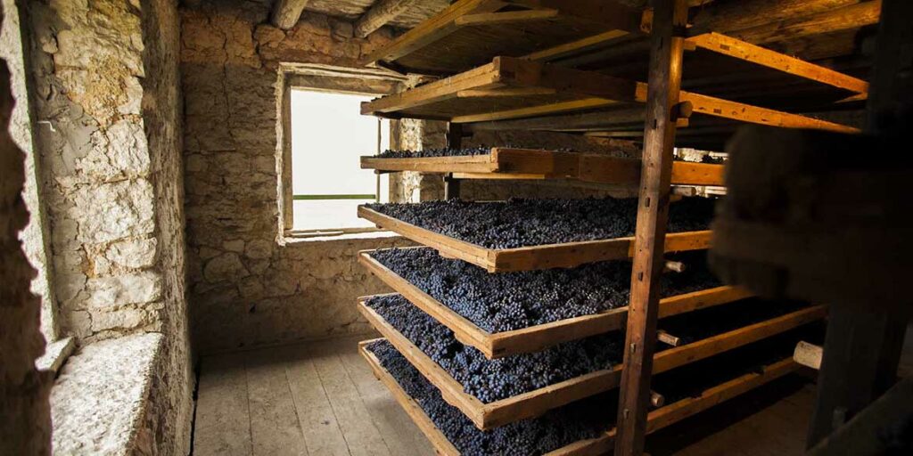 Il Top delle guide vini 2021: i migliori Amarone