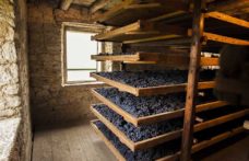 Il Top delle guide vini 2021: i migliori Amarone