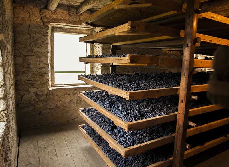Il Top delle guide vini 2021: i migliori Amarone