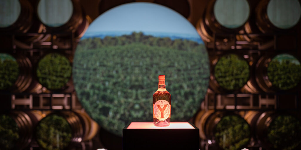 Esce Y, il rosato di lusso firmato Pasqua Vigneti e Cantine