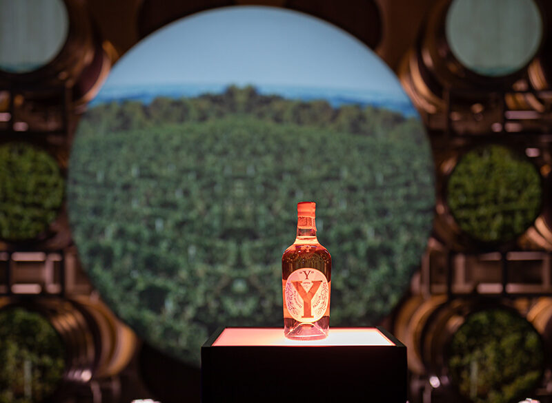 Esce Y, il rosato di lusso firmato Pasqua Vigneti e Cantine
