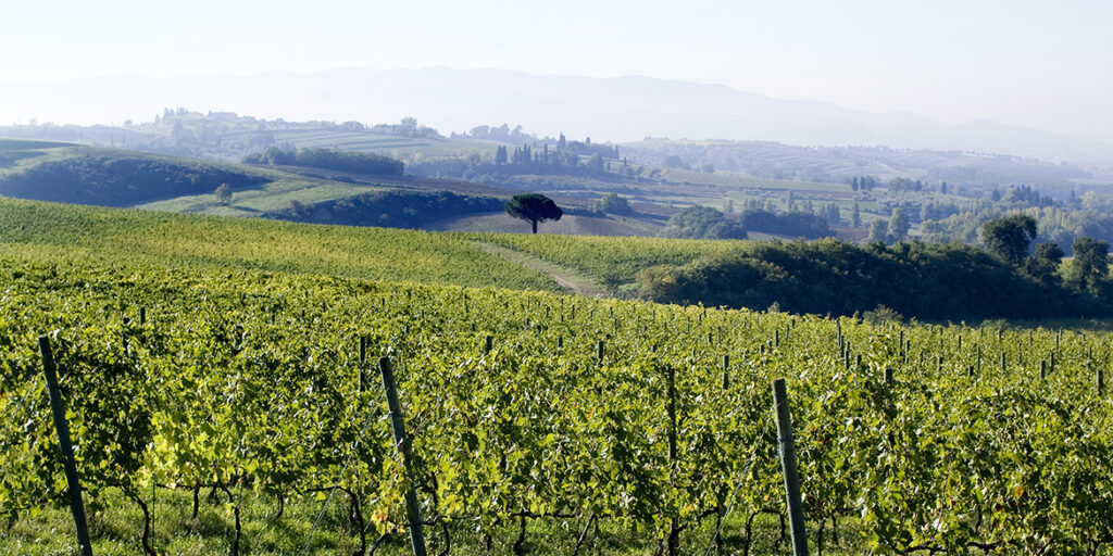 Rinnovata la certificazione VIVA a Lungarotti (che lancia bottiglie ecofriendly)