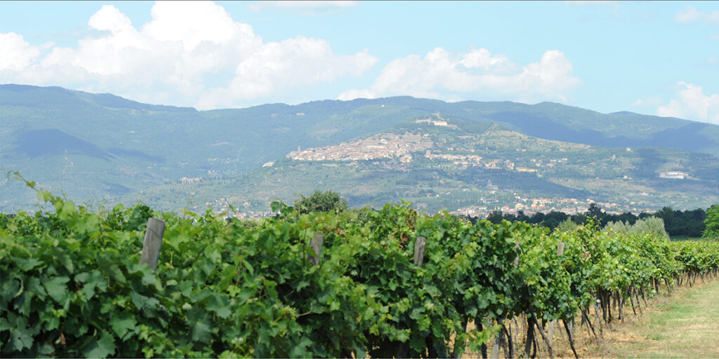 Gli altri spumanti. La Toscana oltre il rosso