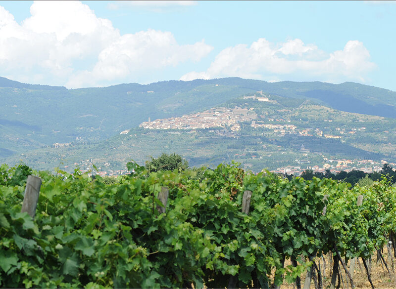 Gli altri spumanti. La Toscana oltre il rosso