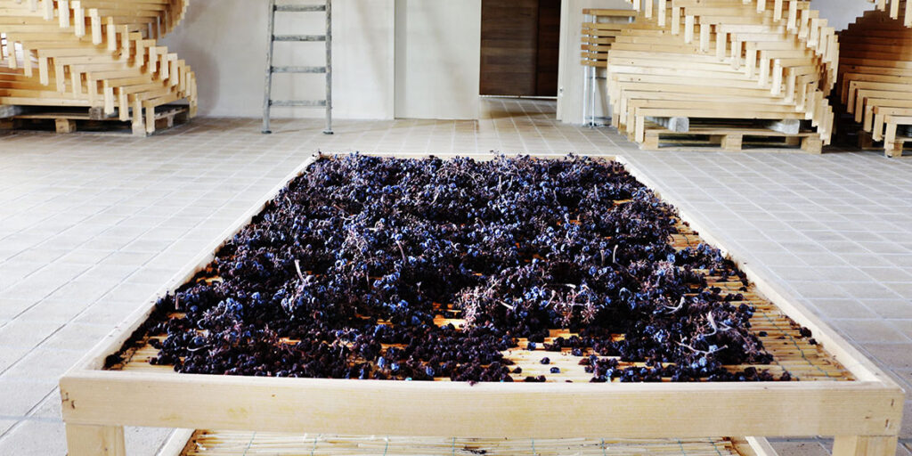 Gli interpreti del vino naturale in Umbria