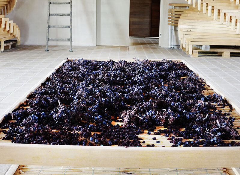 Gli interpreti del vino naturale in Umbria