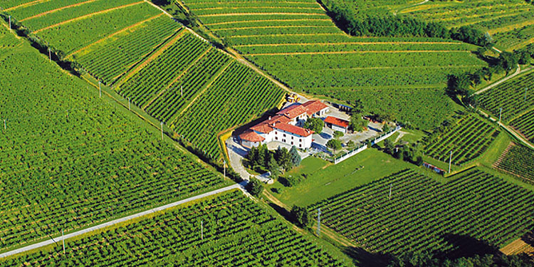 Doc Friuli & Friends: le mille anime del Pinot grigio, dall’afternoon wine al ramato