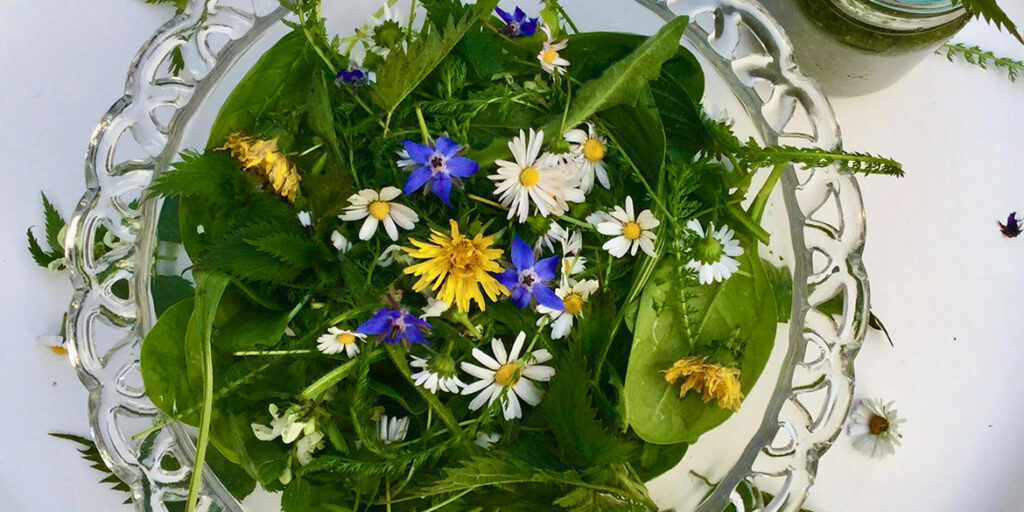 Fiori eduli? Molto più di un ornamento. Il progetto e il ricettario Antea