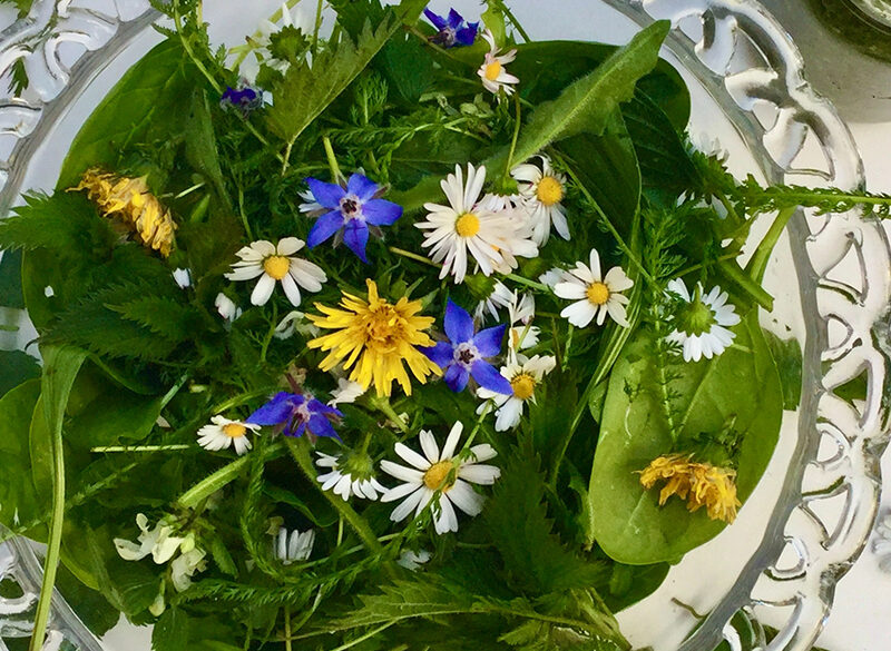 Fiori eduli? Molto più di un ornamento. Il progetto e il ricettario Antea