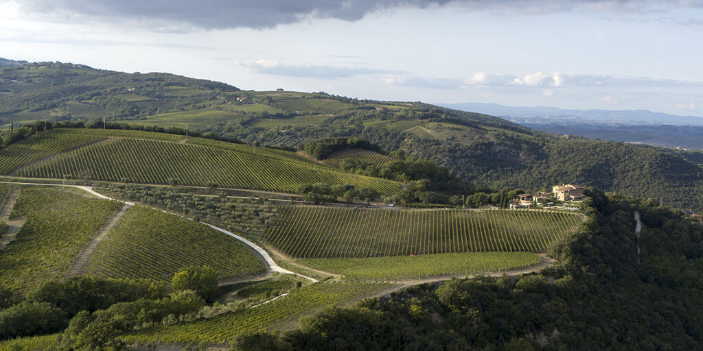 Il Top delle guide vini 2021: i migliori Brunello