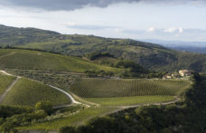 Il Top delle guide vini 2021: i migliori Brunello