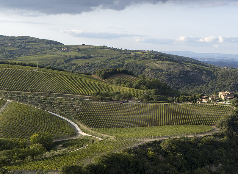 Il Top delle guide vini 2021: i migliori Brunello