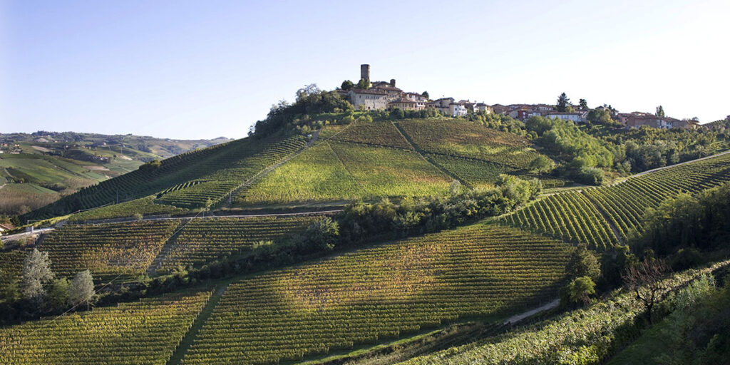 Il Top delle guide vini 2021: i migliori Barolo