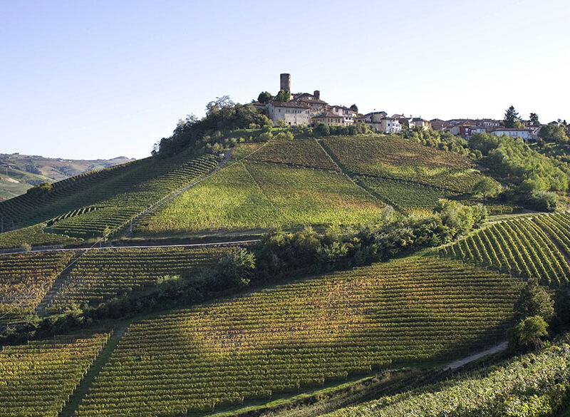 Il Top delle guide vini 2021: i migliori Barolo