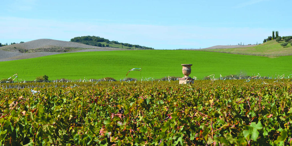 Maestri dell’eccellenza:  Tenuta di Trinoro punta sull’annata 2019