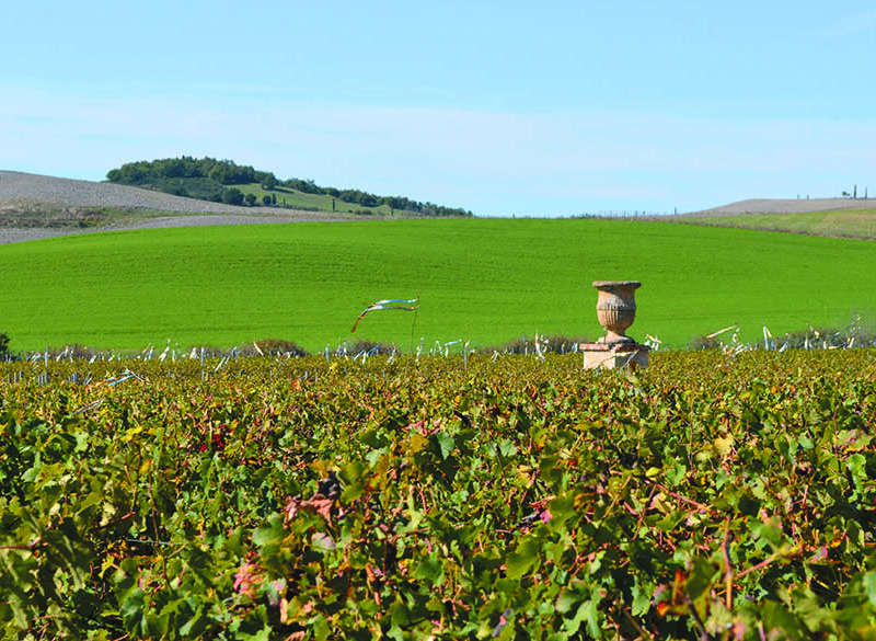 Maestri dell’eccellenza:  Tenuta di Trinoro punta sull’annata 2019