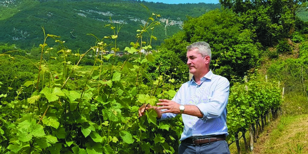 Maestri dell’eccellenza: Cavit cura la vigna grazie a PICA